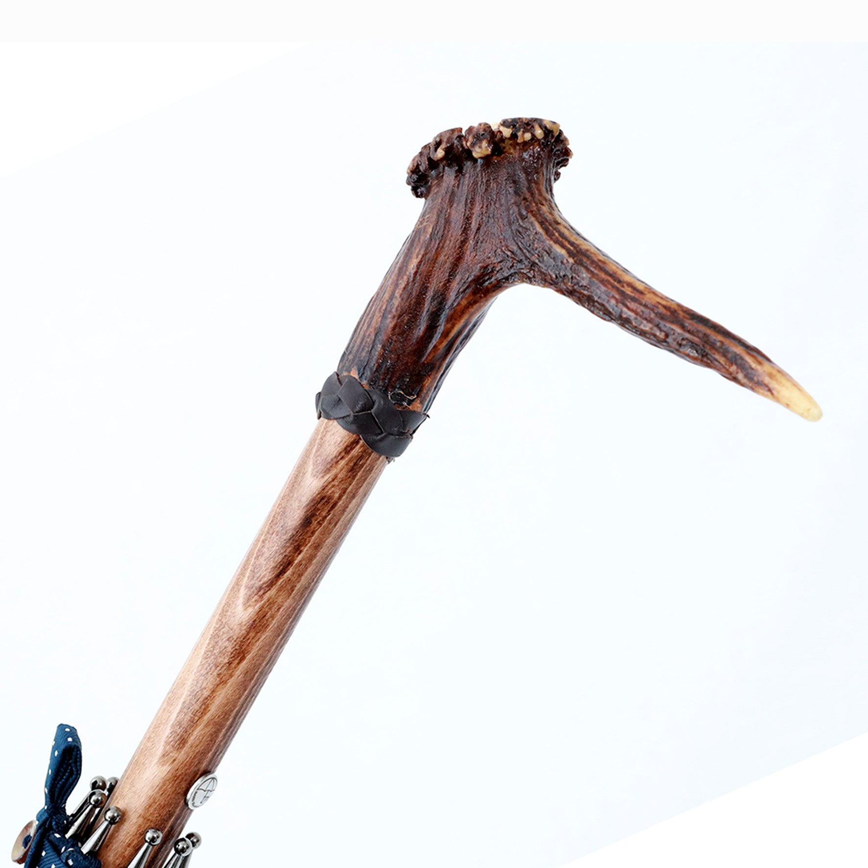 Cervo e Hickory - Blue pois bianchi