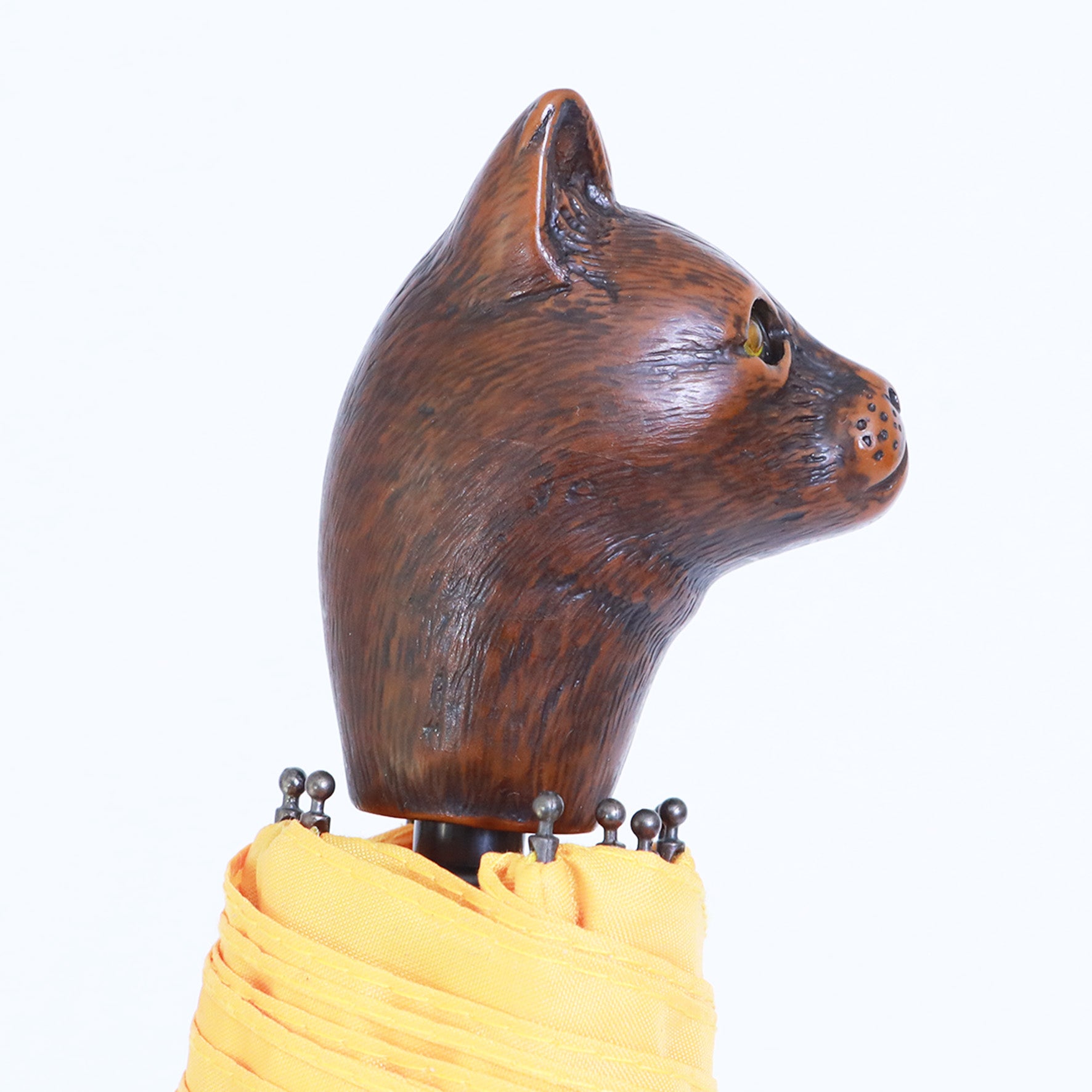 Gatto