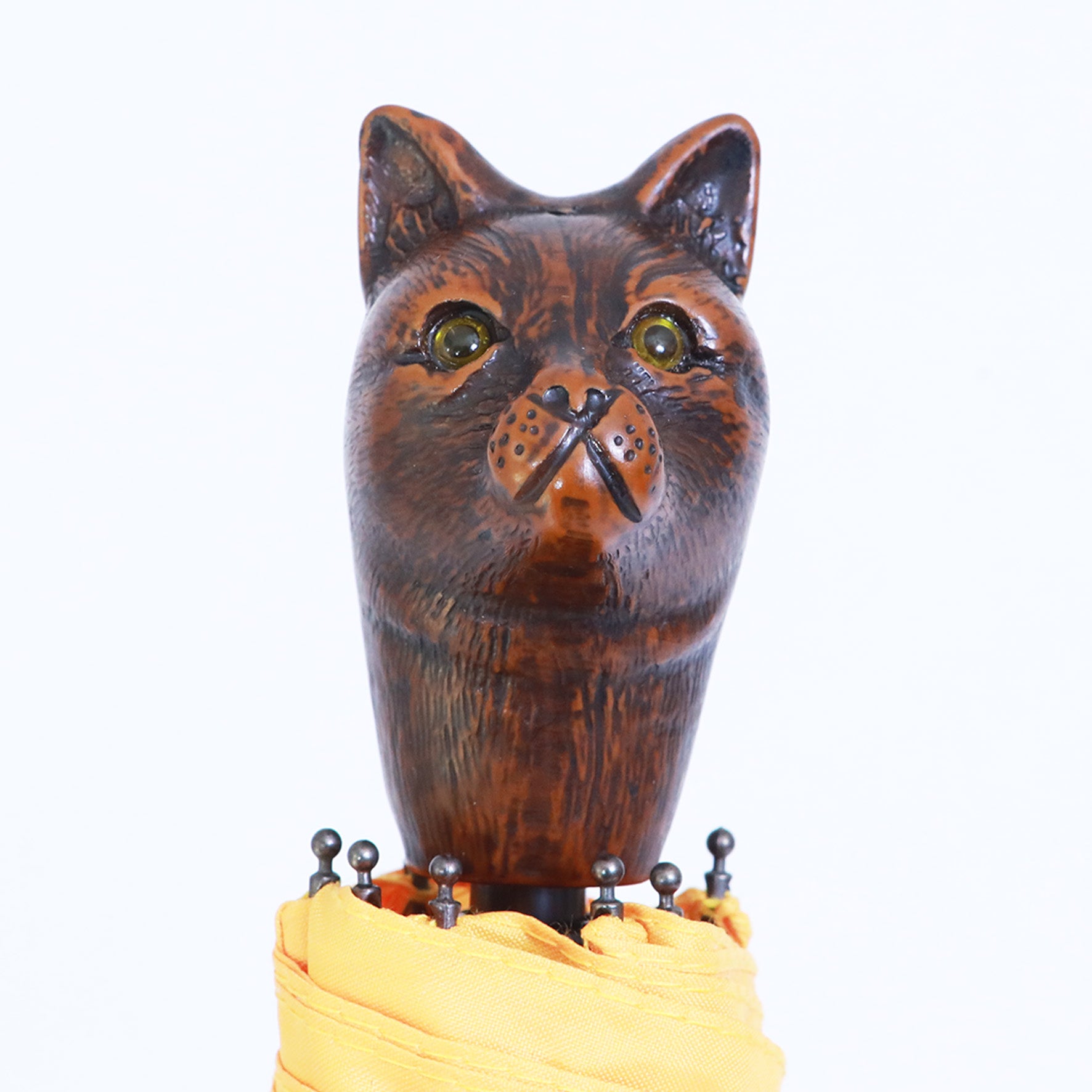 Gatto