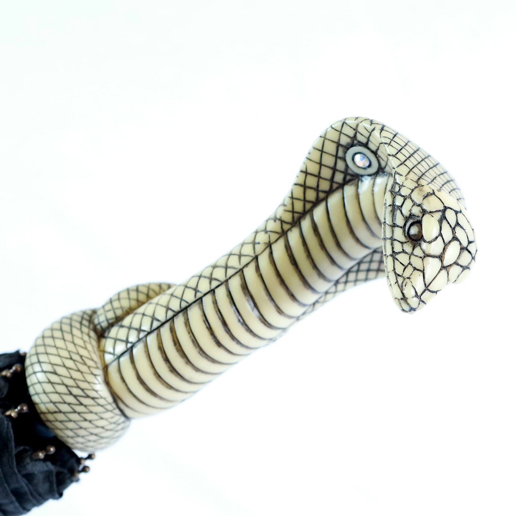 Cobra