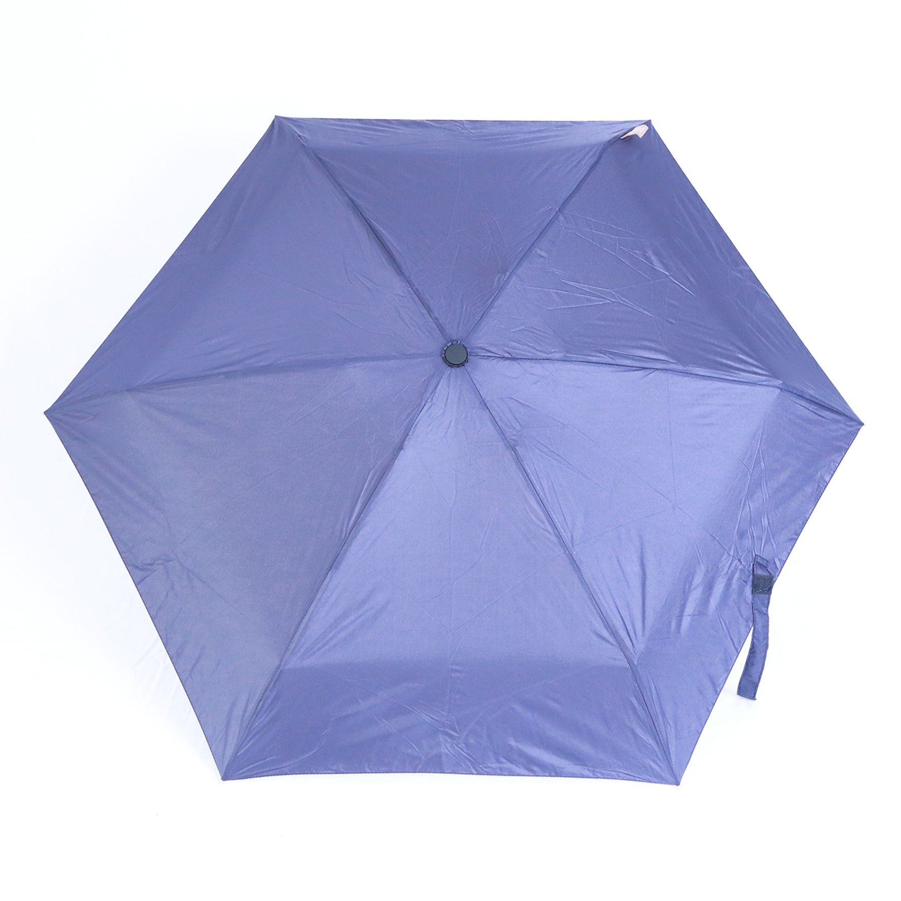 Micro Blue ( 18cm )