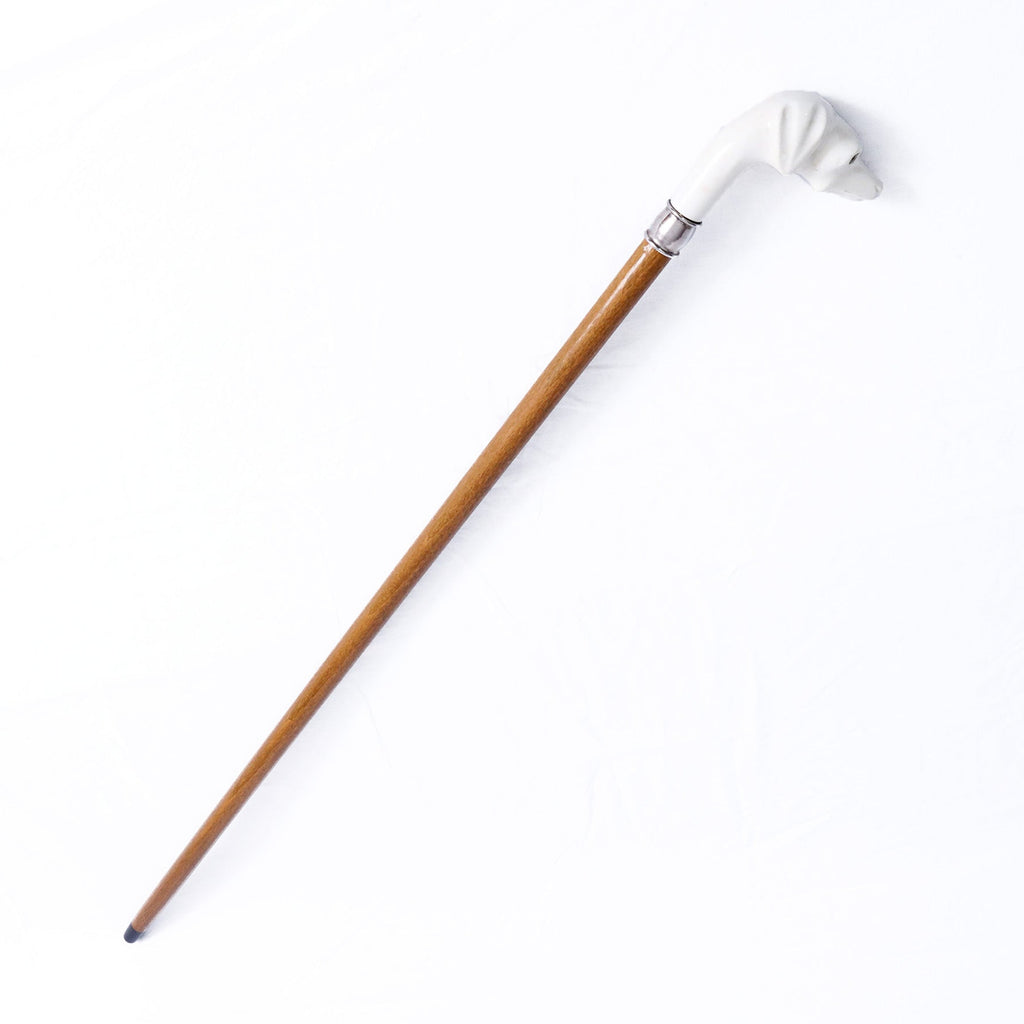 Cane vetroresina bianca