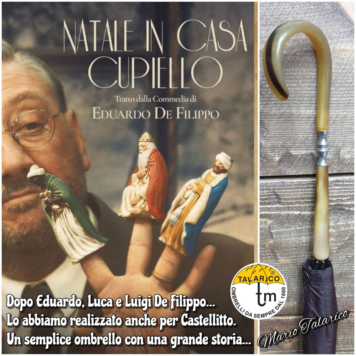Immagine galleria