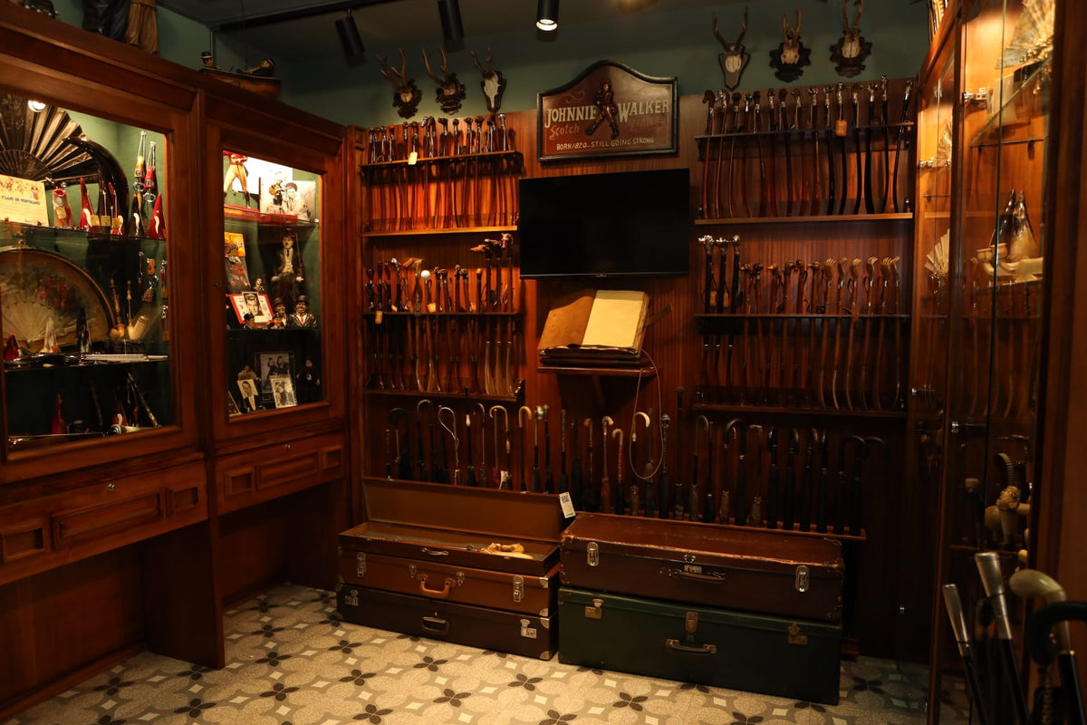 Immagine galleria
